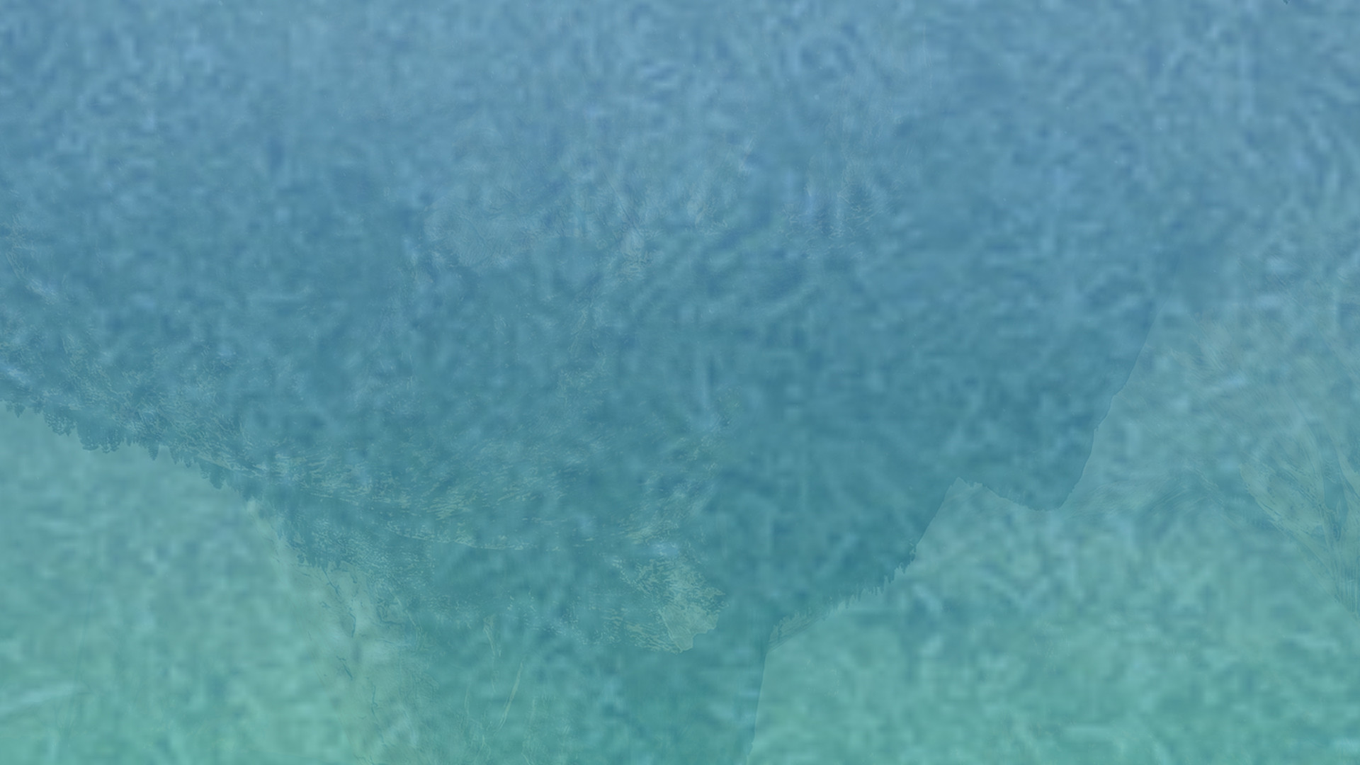 ddos攻击防御手段